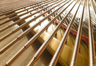 1682384799194715.png image.png